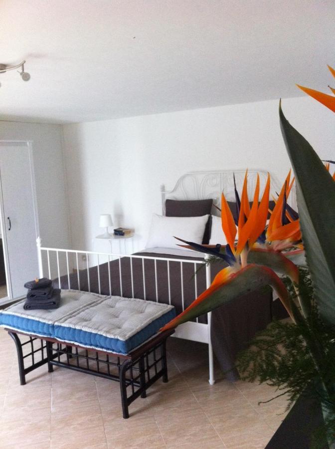 Apartamento La Rina *