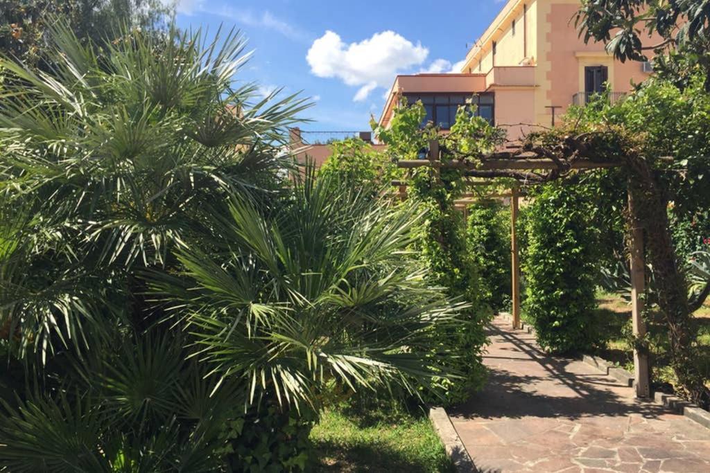 Apartamento La Rina *